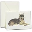 Siberian Husky Dog Notes
