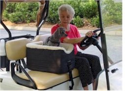 Essential Pet SN-880 Golf Cart Seat - Small