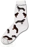 Newfoundland Poses Socks