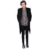 Harry Styles (2013) Mini Cutout
