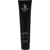 Paul Mitchell Awapuhi Wild Ginger Keratin Intensive Hair Treatment, 5.1 Ounce