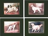 Set Of Four Sporting Dog Placemats
