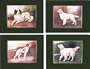 Set Of Four Sporting Dog Placemats