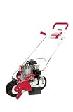 Tools & Hardware : SCHILLER-PFEIFFER 6032-00 "LITTLE WONDER" PRO EDGER 3.5 HP