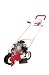 Tools & Hardware : SCHILLER-PFEIFFER 6032-00 "LITTLE WONDER" PRO EDGER 3.5 HP