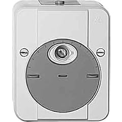Merten 544829 ARGUS D�mmerungsschalter, ohne Schaltverz�gerung, lichtgrau