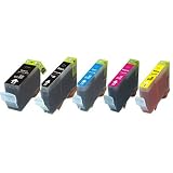 5-PackInkw/ChipforCanonPGI-5BKCLI-8CompatiblePixmaMP500MP530MP600MP800iP4200iP4300iP4500iP5200iP5200