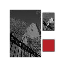 B + W 37mm #091 Glass Filter - Dark Red #29