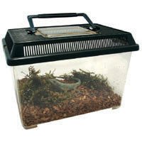 Exo-Terra Faunarium Plastic Terrarium