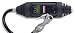 JS Products Inc 97952 Digital Tire Inflator