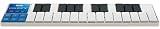 Musical Instruments : KORG nanoKEY 25-Key USB MIDI Controller Keyboard