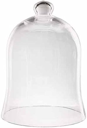 12" Chic Botanical Protective Glass Dome Garden Cloche