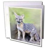 Wild animals - Gray Fox - Greeting Cards-6 Greeting Cards with envelopes