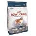 Royal Canin Maxi Weight Care 27 Large Breed Dry Dog Food (30-lb bag)
