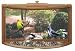 In House Window Feeder - Large - Brown