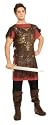 Child's Gladiator Costume, Large