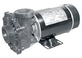 Spa Equipment Spa Pump 3 Hp, 230V, 2 Sp, S.D Bn61 2" 48 Frame 24X8X9-38Lbs