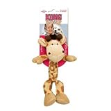 KONG Braidz Dog Toy