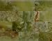 3 x 6 Dark Green Onyx Polished Tiles
