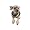 Puppia Soft Dog Harness (Mesh) Pink Small
