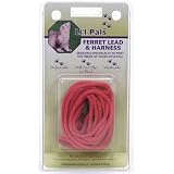 (Price 1)C Nyl Ferret Harness & Lead - Red by Top Dawg Pet Supplies
