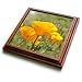 California Orange Poppies Field Flowers Flower Photograph - 8x8 Trivet With 6x6 Ceramic Tile