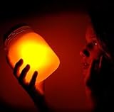 太陽光発電のLEDランプ インテリアに最適 SUN JAR (サンジャー)ソーラー充電式ライト SUN JAR (サンジャー) 太陽光発電のLEDランプ インテリアに最適