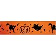 CitiRibbon Halloween 7/8" (25 yds) Orange