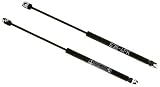 BMW Genuine Hood Strut E36 Compact & Sedan