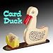 Educated Duck