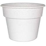 Dura Cotta Rolled Rim Pot - B000HJBJUO