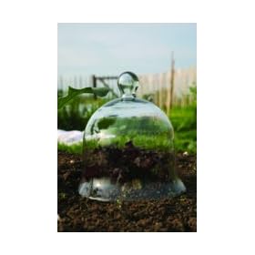 2 SMALL TRADITIONAL GLASS BELL JARS