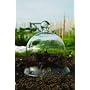 2 SMALL TRADITIONAL GLASS BELL JARS