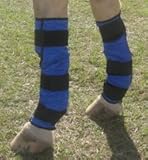 Best buy Blue - Evaporative Cooling Horse Leg Wraps-SET of 2
