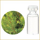 【生活の木】ティートゥリー 10mL