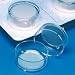 Nunc Tissue Culture Inserts, Anapore membrane; 0.2 micron pore size; 8-well strip