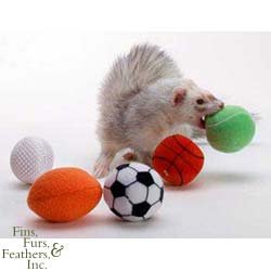 Marshall Pet Products Ferret Sport Balls