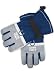 Indianapolis Colts NFL Padded Ski Glove