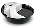 Pioneer Pet plastic RAINDROP Pet Water Drinking Fountain