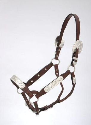 Royal King Congress Show Halter