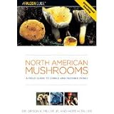 North American Mushrooms - -