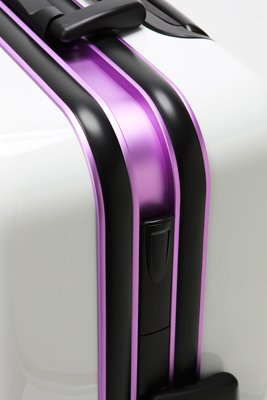 Cover image : サンコー G2TSA Type-L FASHION 66cm ブラック/ゴールドフレーム G2LF-66