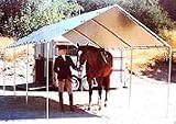 10 Ft. x 20 Ft. Canopy - B000RO51IK