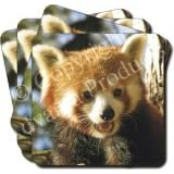RED PANDA BEAR Set of 4 Coasters