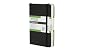 Madrid Notebook (Moleskine City Pocket Book)