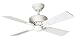 Hunter 20406 The Bayport 42-Inch Four-White/Light Oak-Blades-Ceiling Fan, White
