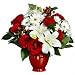 Lilies - Exotic Splendor