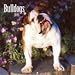 Bulldogs 2009 Calendar, 12x12