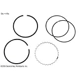 Beck Arnley  013-394620  Ring Set .50 by Beck Arnley
