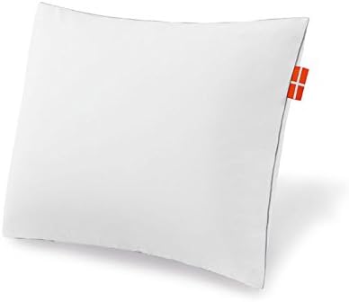 SilverTECH Ag4X Machine-Washable Polyester Fabric Antibacterial Dust Mite and Allergen Proof Pillow Protector Encasement